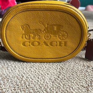 Coach camera bag with horse and carriage